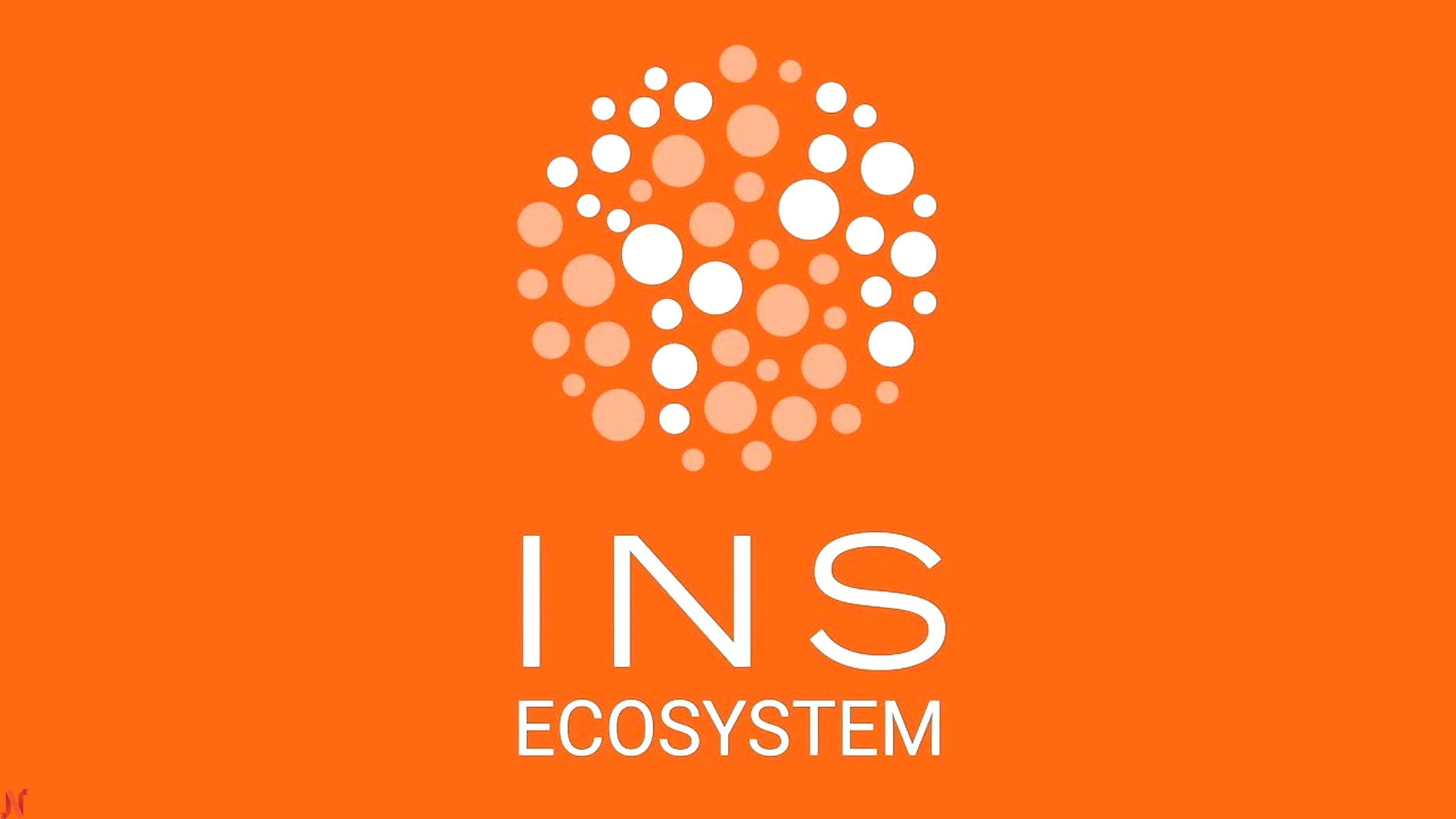 Ins. Ins ecosystem. Dnika инс. Oveee ins.