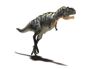 Theropoda dinozor türü