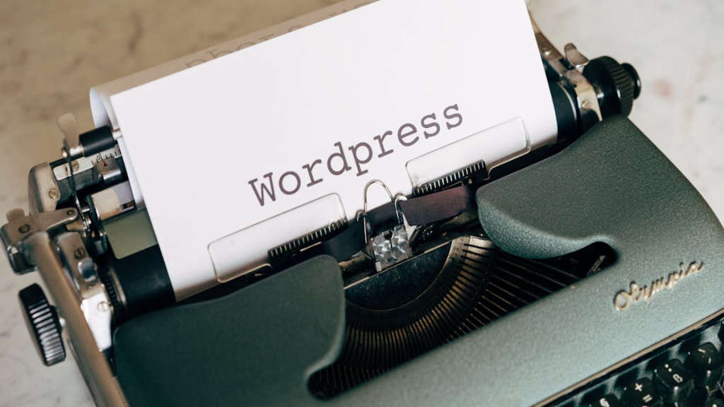 seo-wordpress-temalar-909.jpeg