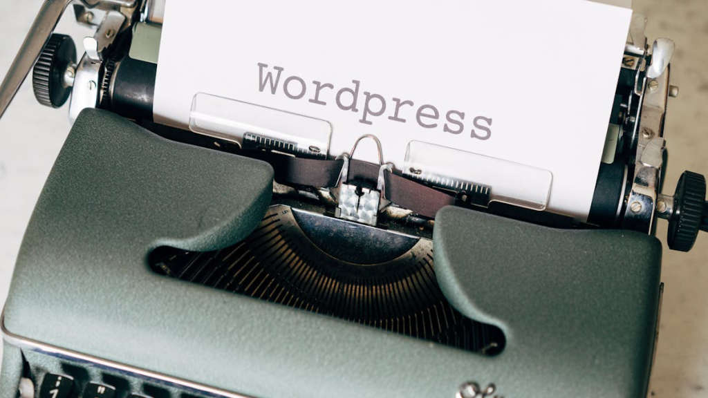 seo-wordpress-temalar-67.jpeg